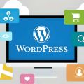 WordPress, The Best CMS Platform